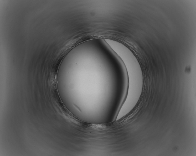 X0000090750429200708031612