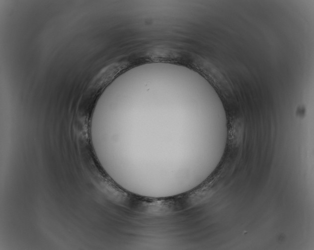 X0000090750430200708031612