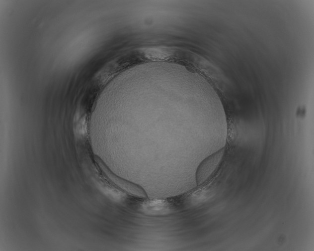 X0000090750431200708031612