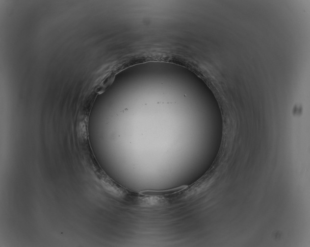 X0000090750432200708031612