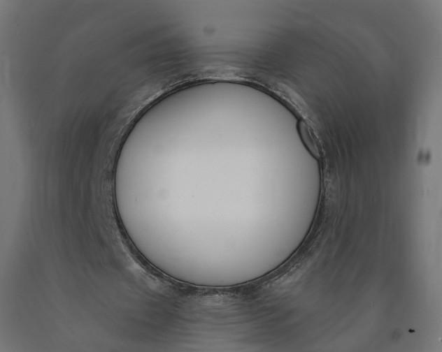 X0000090750433200708031611