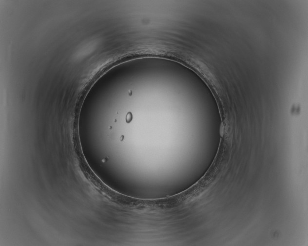 X0000090750434200708031611