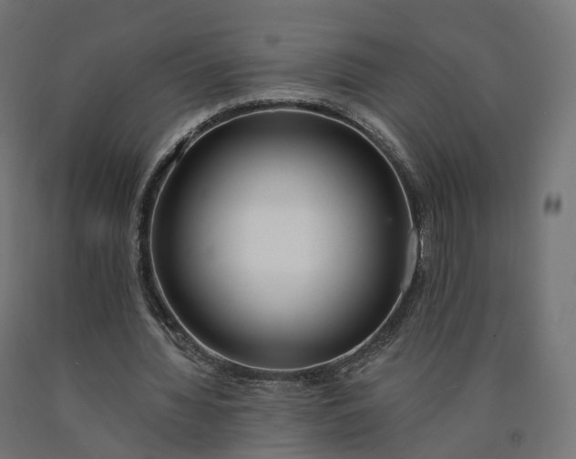 X0000090750436200708031611