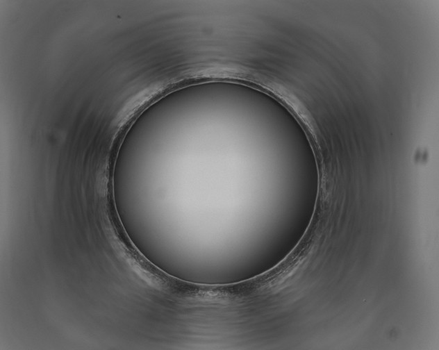 X0000090750437200708031611