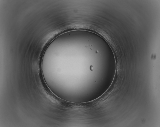 X0000090750438200708031611