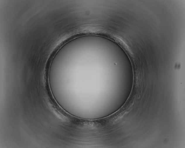 X0000090750439200708031611