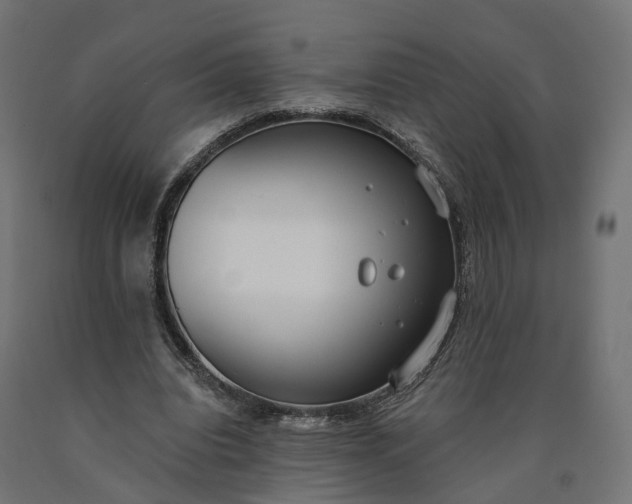 X0000090750440200708031612