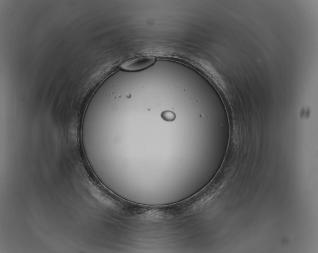 X0000090750441200708031612