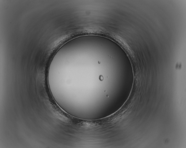 X0000090750442200708031612