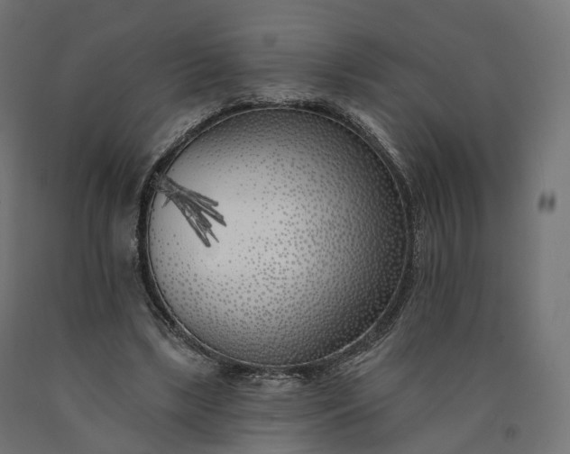 X0000090750443200708031612