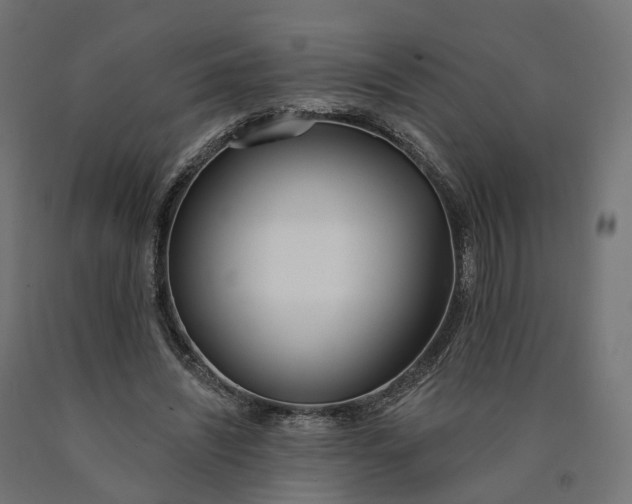 X0000090750444200708031612