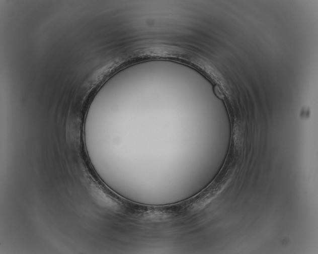 X0000090750445200708031612