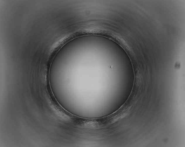 X0000090750446200708031612