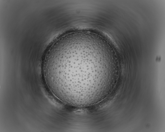 X0000090750447200708031612