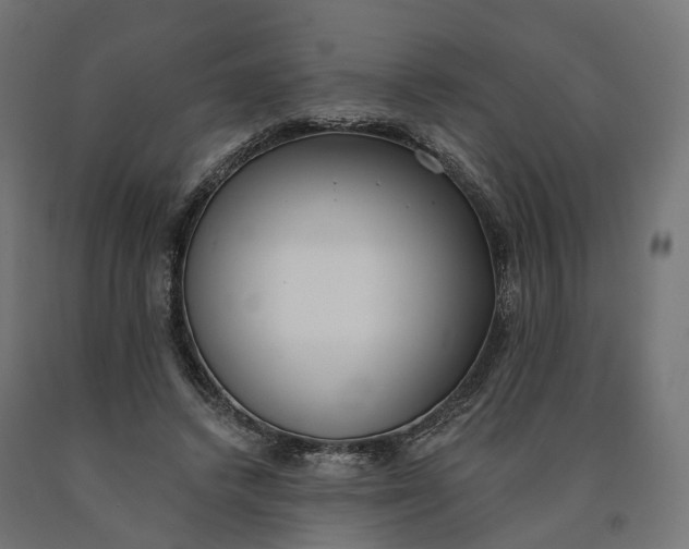 X0000090750448200708031612