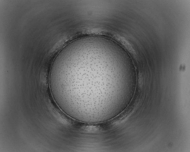 X0000090750449200708031612