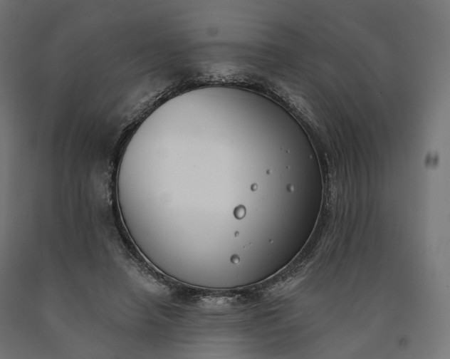 X0000090750450200708031612