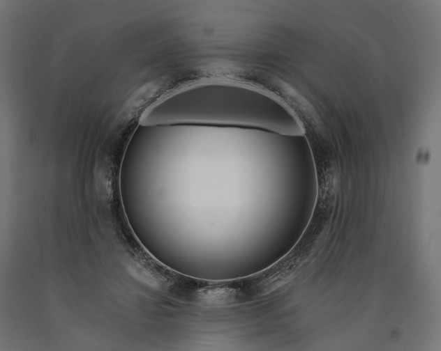 X0000090750452200708031612