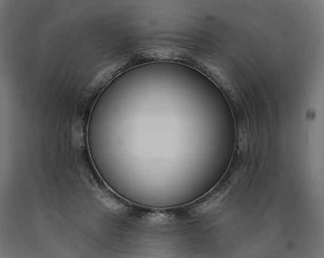 X0000090750453200708031612