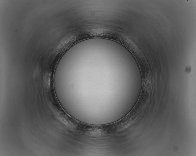 X0000090750454200708031612