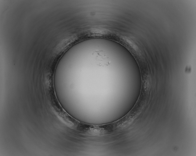 X0000090750455200708031612