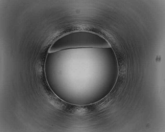 X0000090750456200708031612