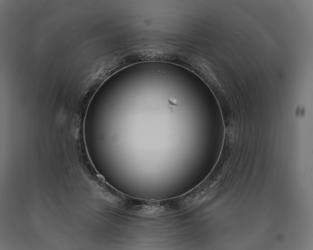 X0000090750458200708031612