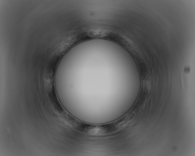 X0000090750460200708031612