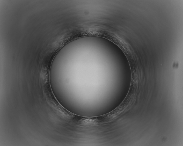 X0000090750465200708031612