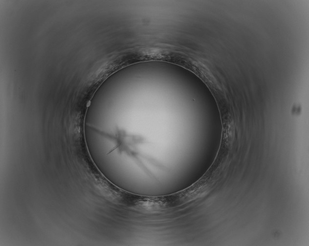 X0000090750466200708031612