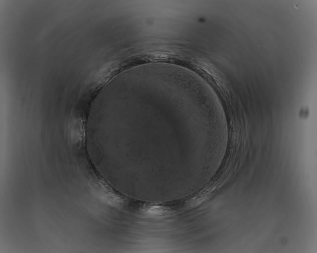 X0000090750467200708031612