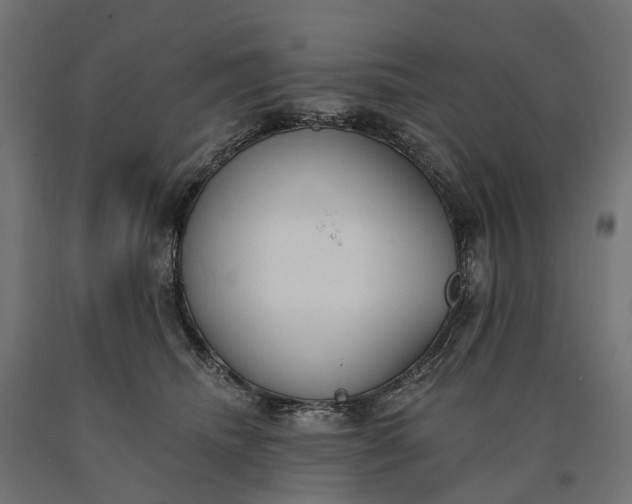 X0000090750468200708031612