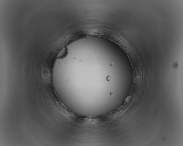 X0000090750469200708031612