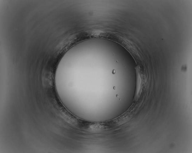 X0000090750470200708031612