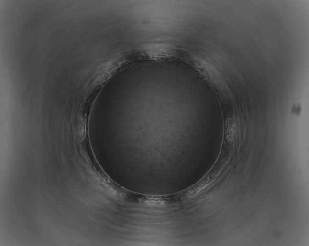 X0000090750471200708031612