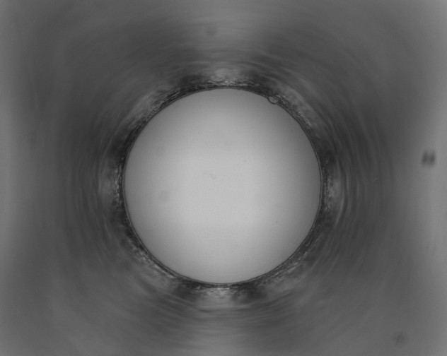 X0000090750473200708031612