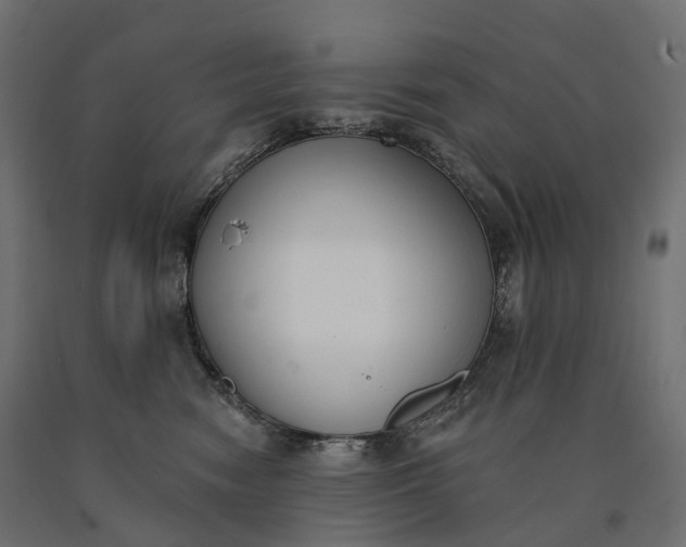 X0000090750474200708031612