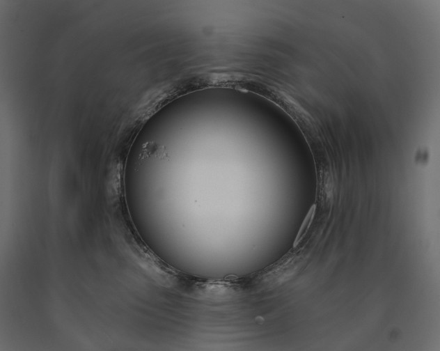 X0000090750475200708031612