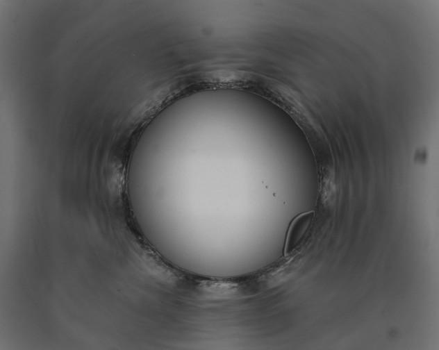 X0000090750476200708031612