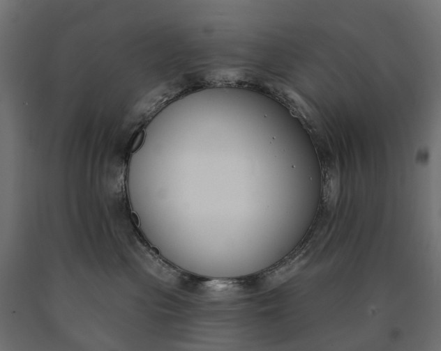 X0000090750477200708031612