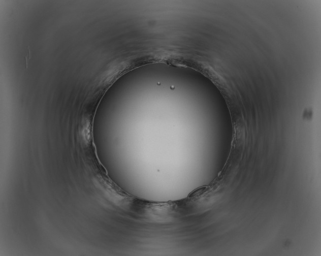 X0000090750479200708031612