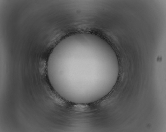 X0000090750480200708031612