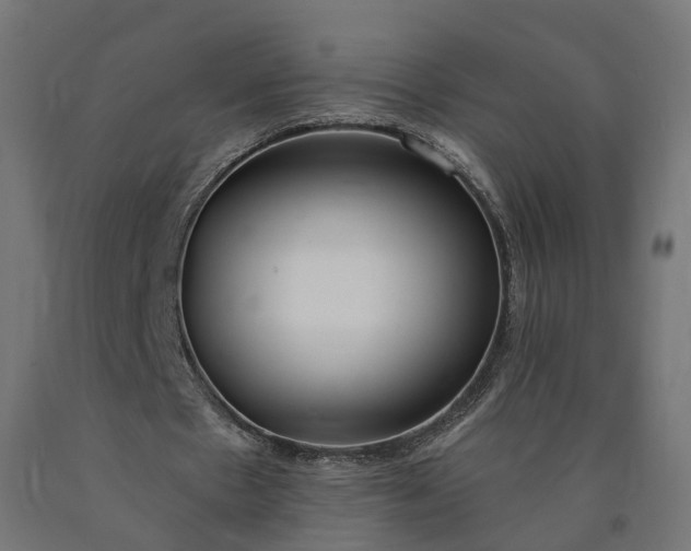 X0000090750481200708031611