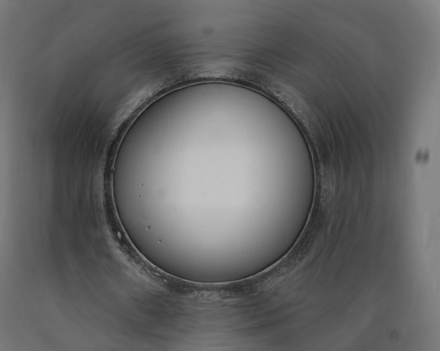 X0000090750482200708031611