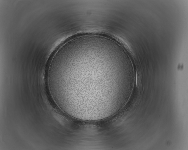 X0000090750483200708031611