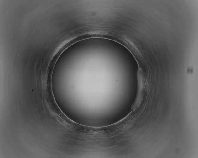 X0000090750484200708031611