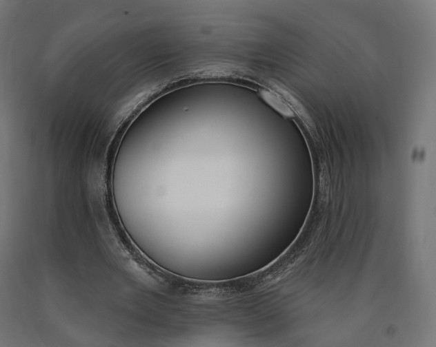 X0000090750485200708031611