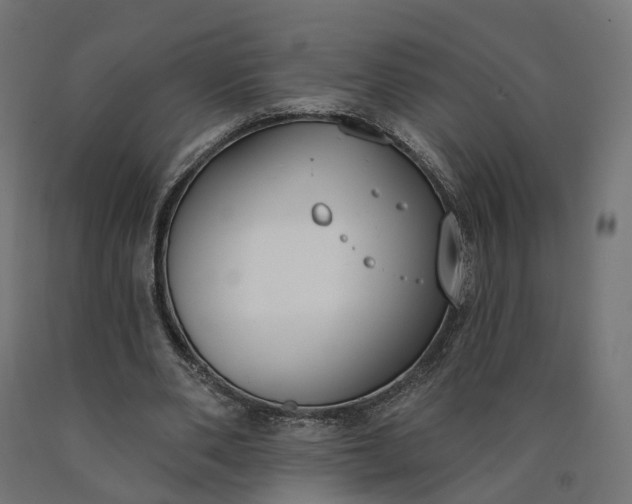 X0000090750486200708031611