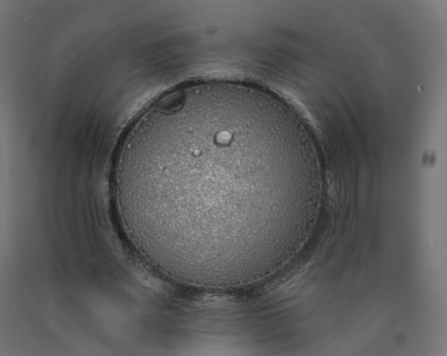 X0000090750487200708031611