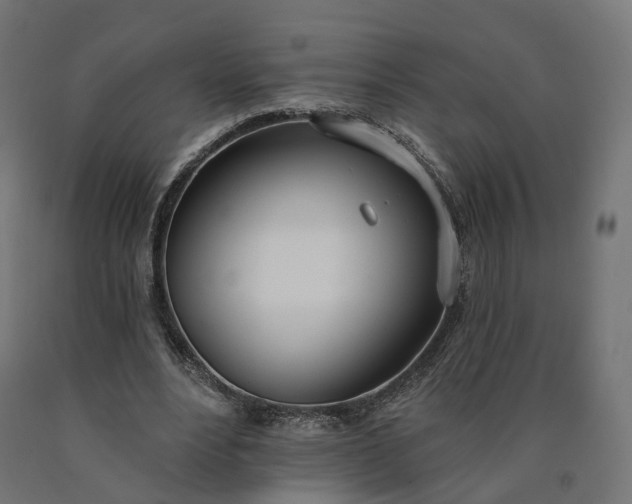 X0000090750488200708031611